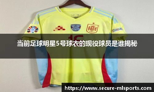 当前足球明星5号球衣的现役球员是谁揭秘